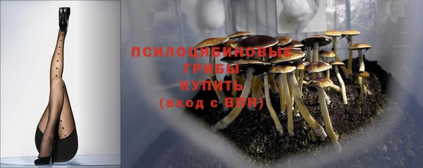 твердый Волоколамск