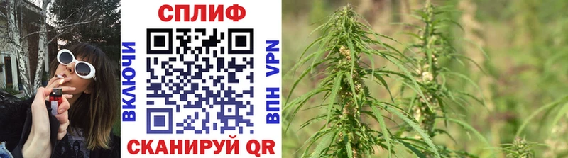 Канабис OG Kush  где продают наркотики  Выборг 